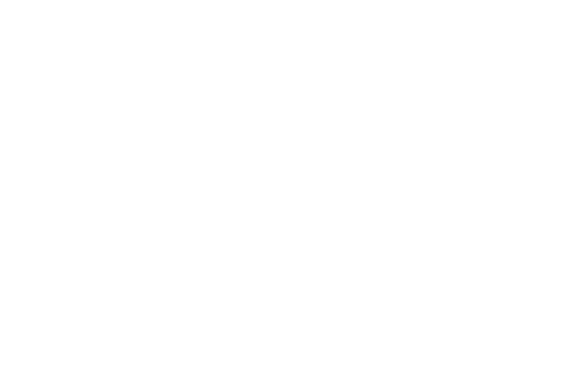 Zelva — logotipo